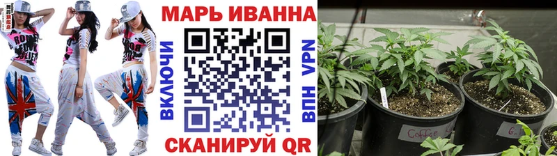 Бошки марихуана конопля  Обоянь 